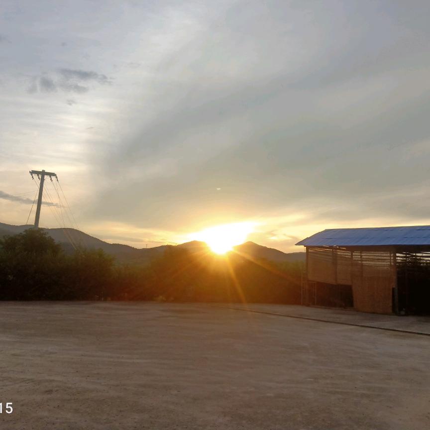 孙桥蟠桃采摘基地荀保宏