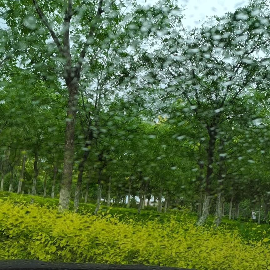 清新