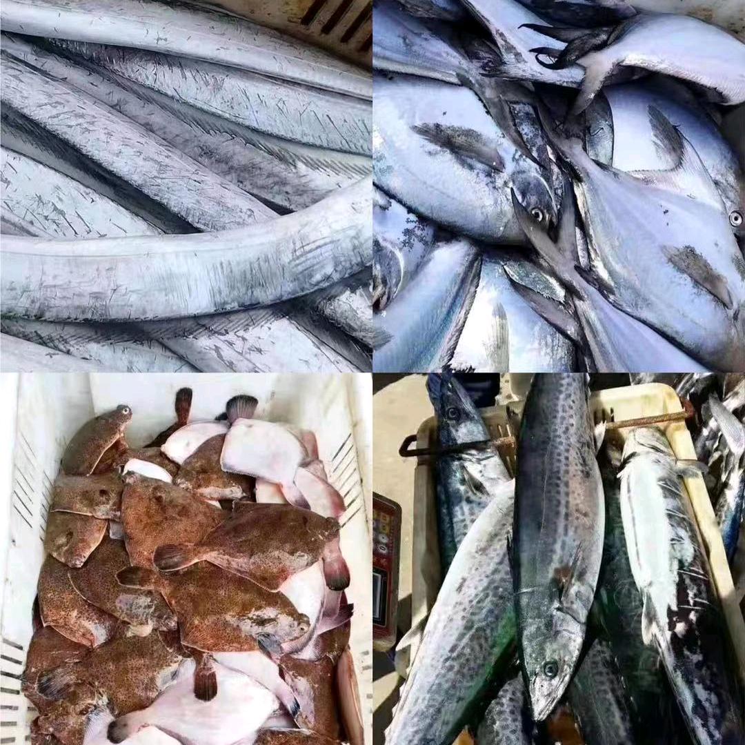 一片海海鲜