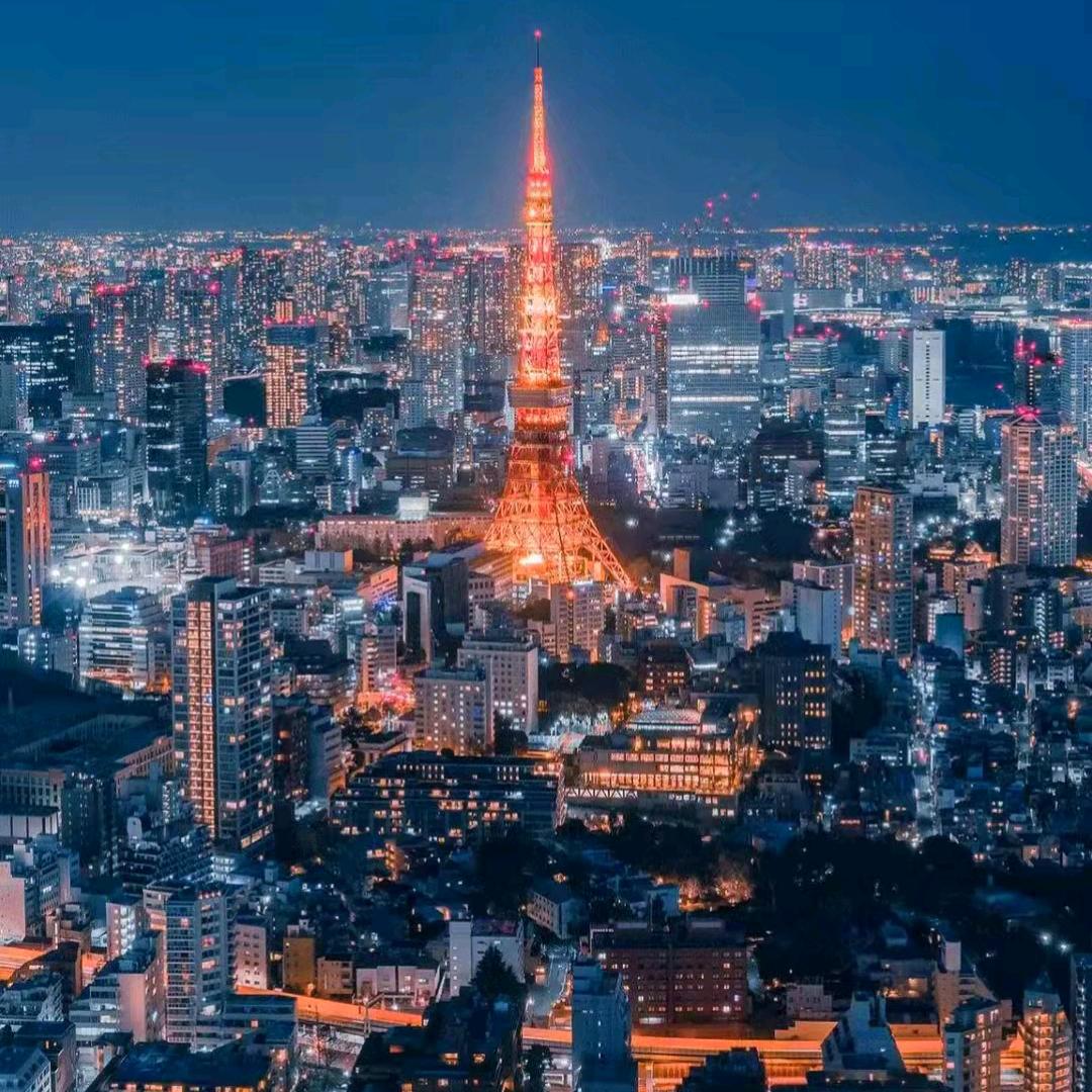 小燕燕