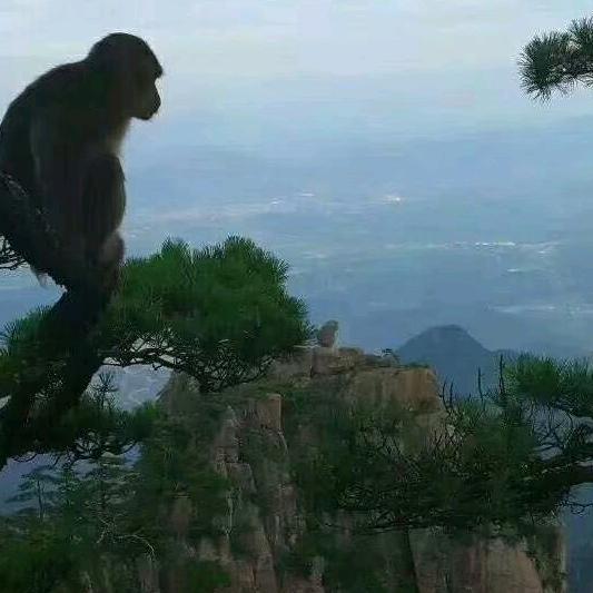 监控安装咨询中