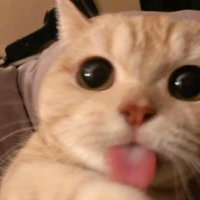 Leo_