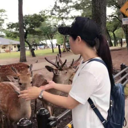 六姐