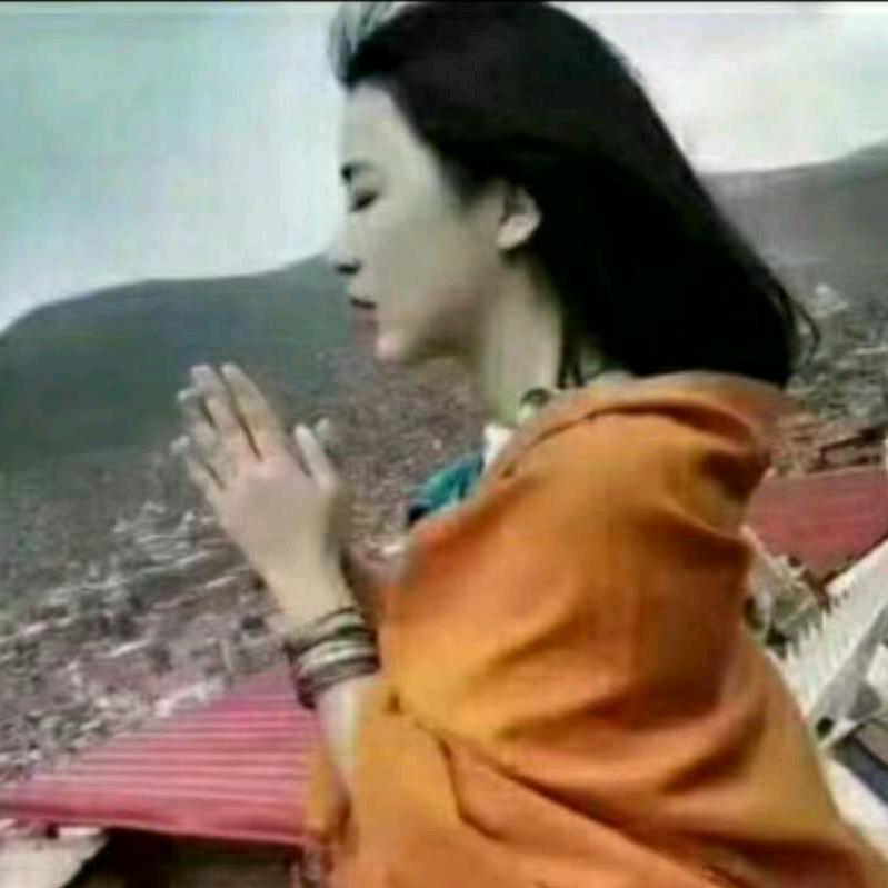 藏家姑娘
