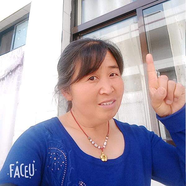 寒梅