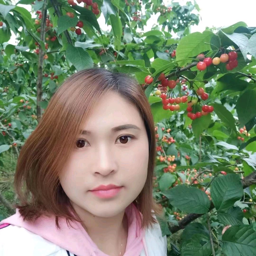 刘姐姐