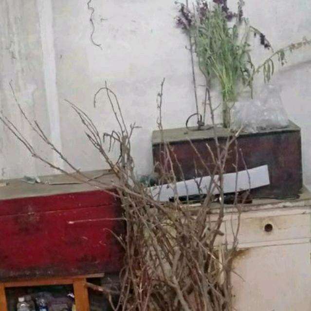 老九(从头再来)