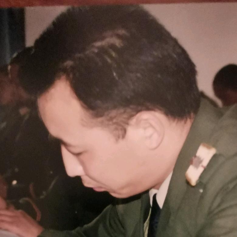 大漠胡杨
