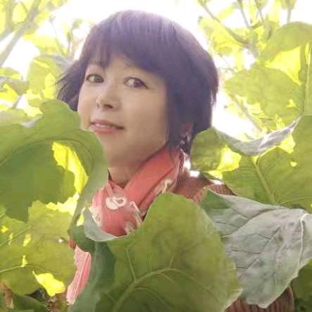 夏天，开心就好