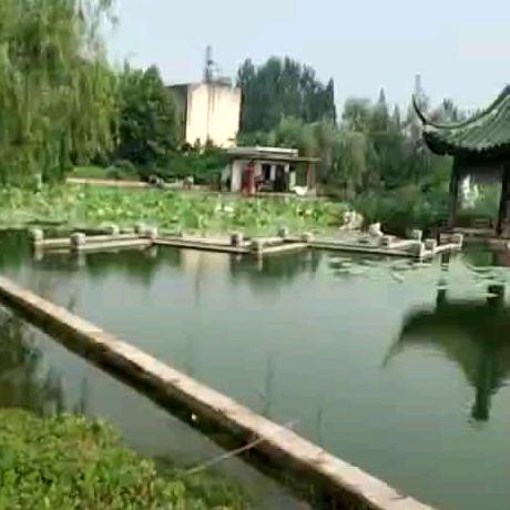 辰曦