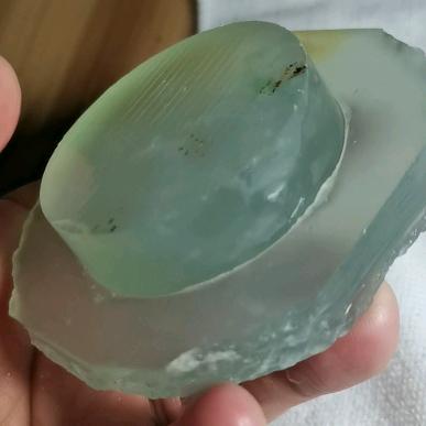 一只老虎(>_<)
