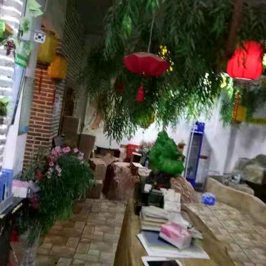 昂昂妈（首播筹备中）