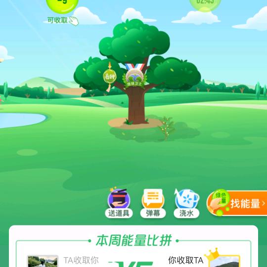伽