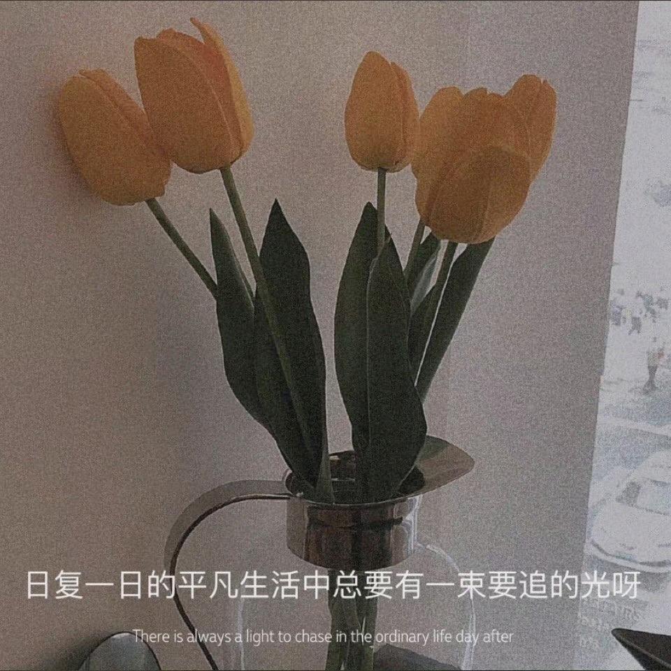 散漫者🍸