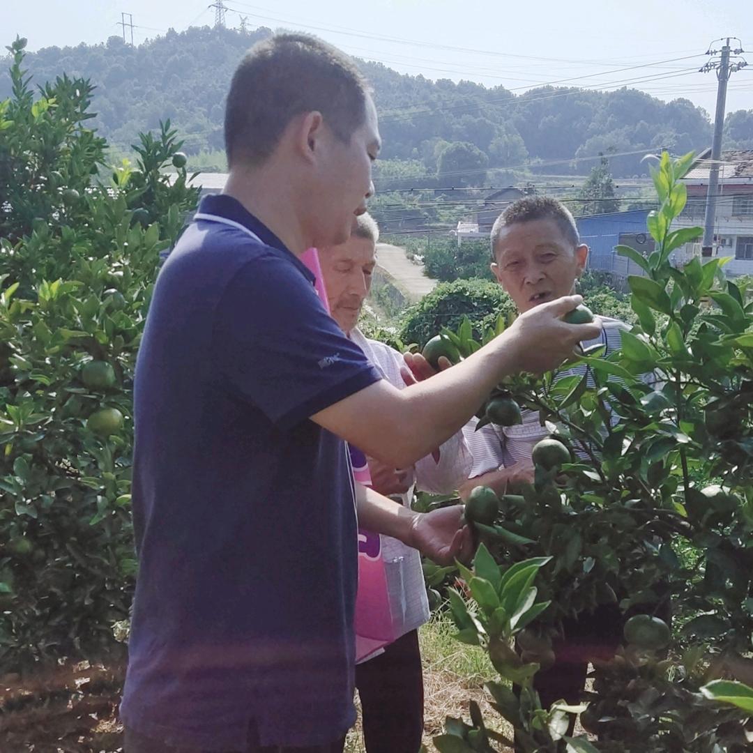 林先生农业杂谈