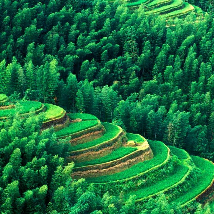 人穷语言轻，有理说不清。