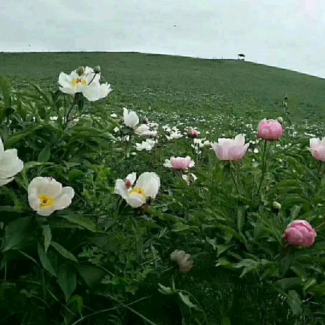 111顺其自然111