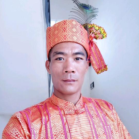 傣王