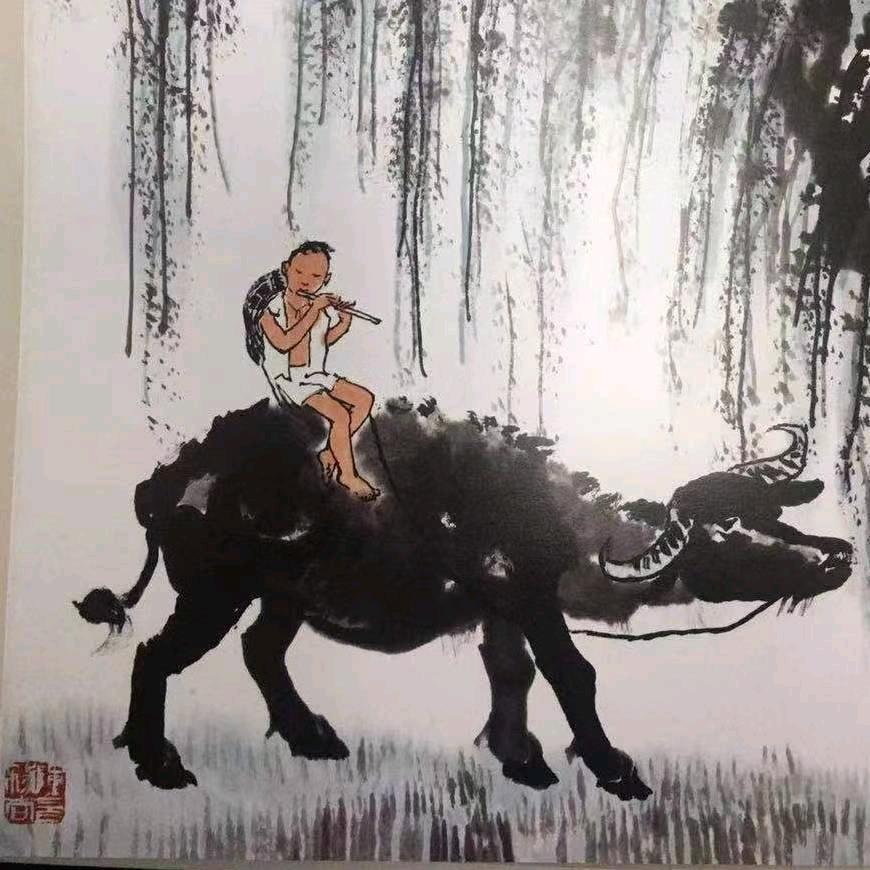 泾县皖鑫源农场