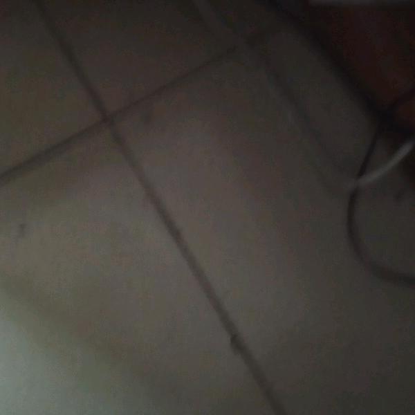 身体健康！开心快乐！