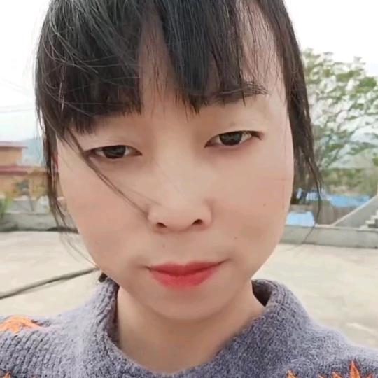 吉星高“赵"