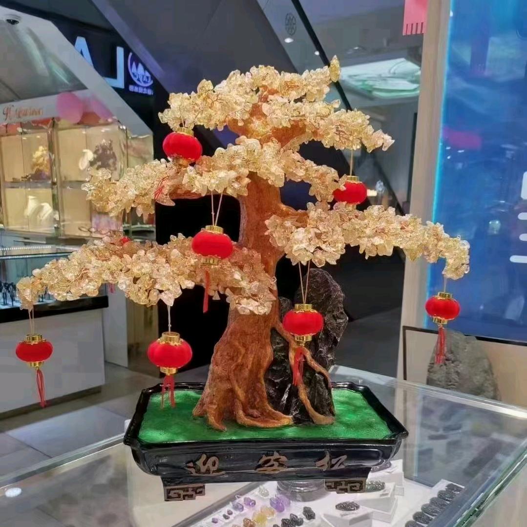 不念过往