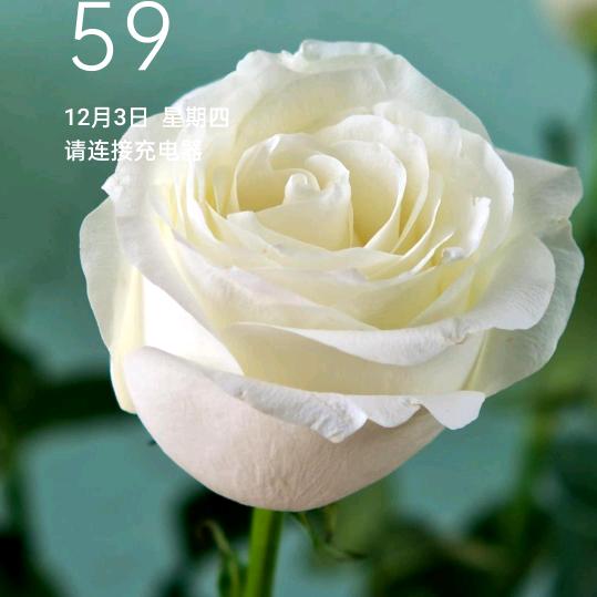 珍