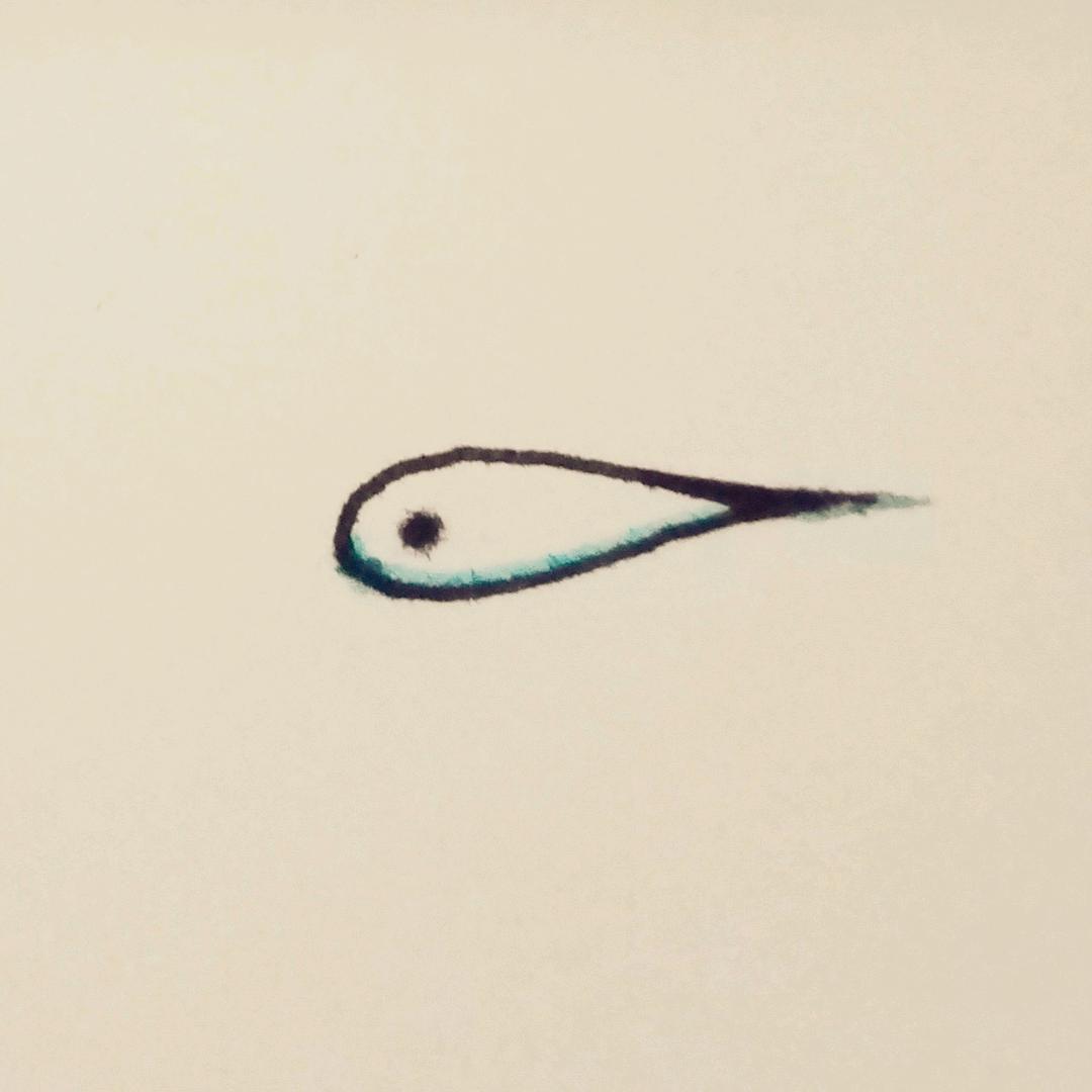 游鱼离