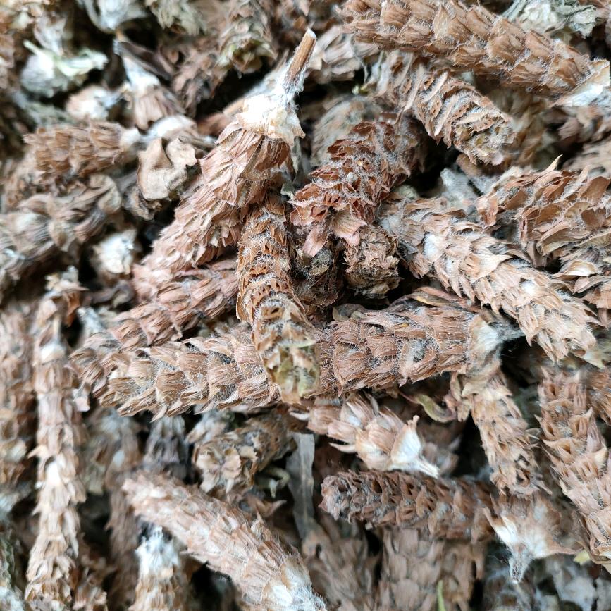 用户5228410988861四叶草