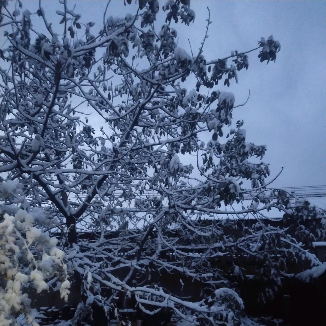 雪景真美