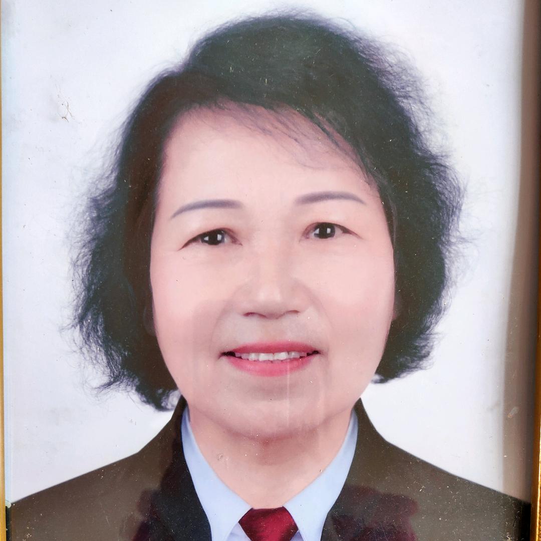 沙漠里的骆驼