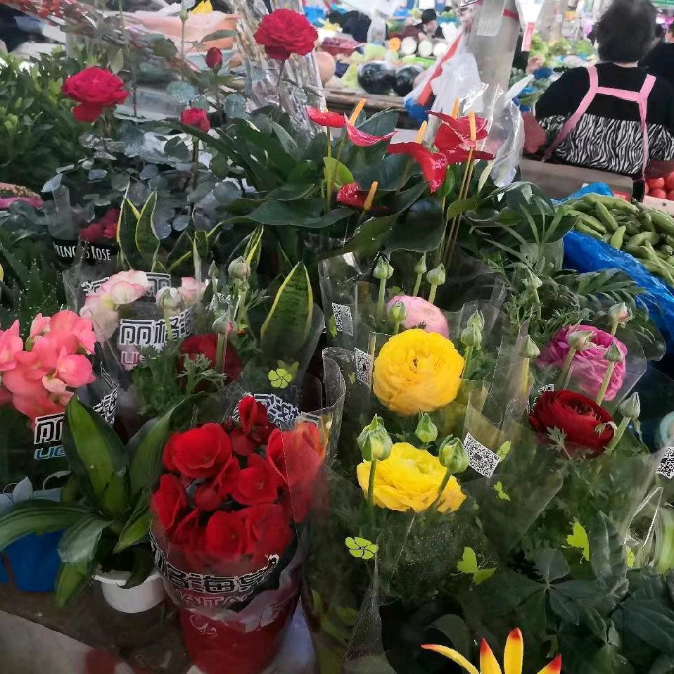 勿忘初心和使命