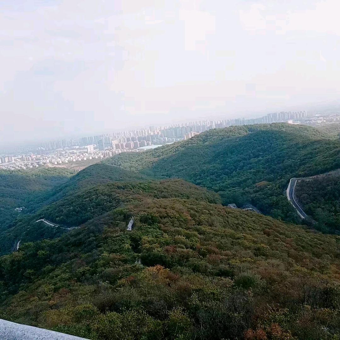 杨楼创美惠老李