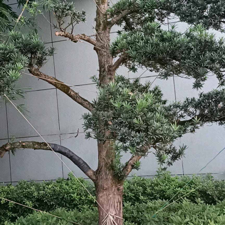 怎么开心怎么过