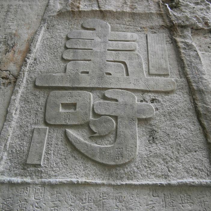 刘宏鸽