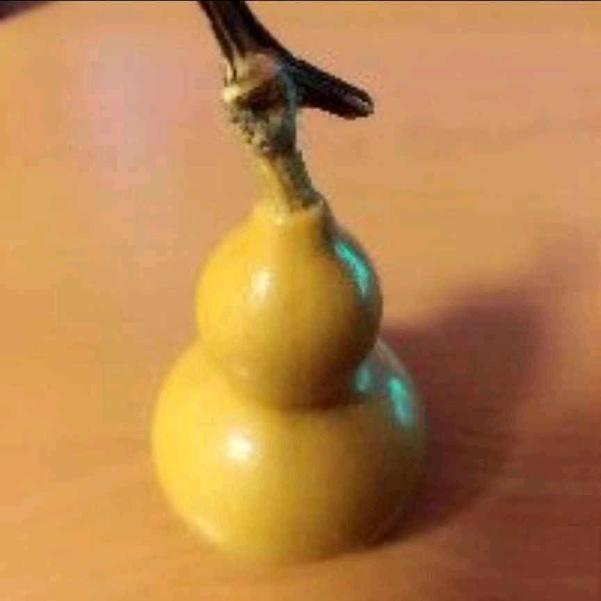 日久了才见人心