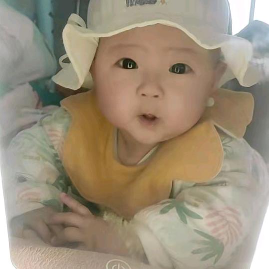 自由飞翔。