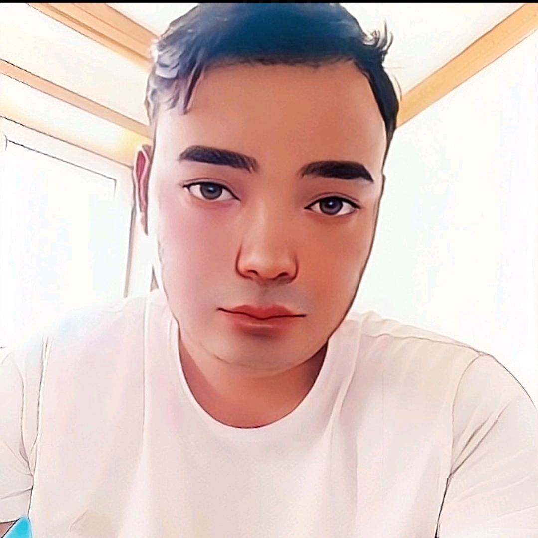 皮力