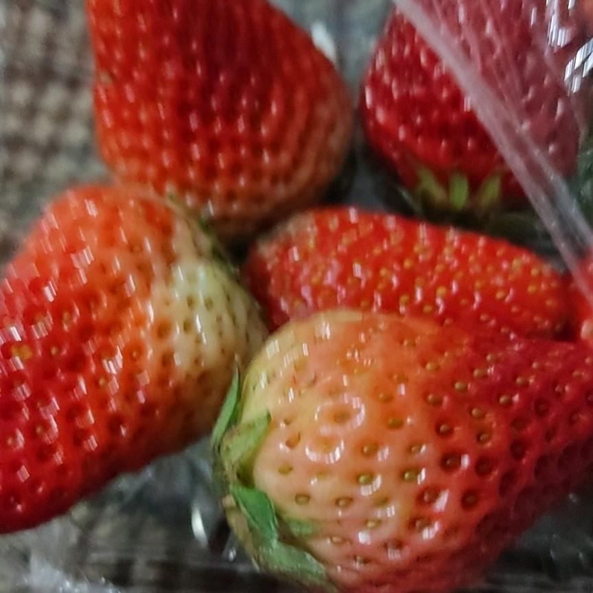 经济独立才是最好的底气