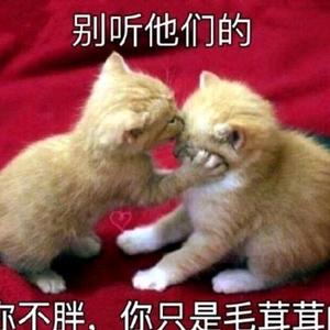 你若不离我定不弃