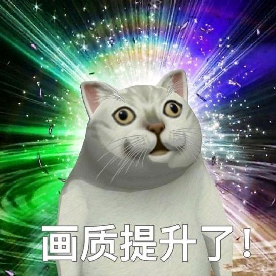 猫猫麻麻
