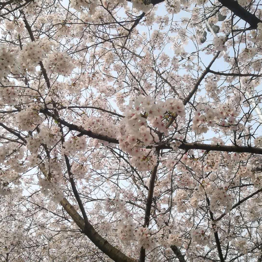 宁静