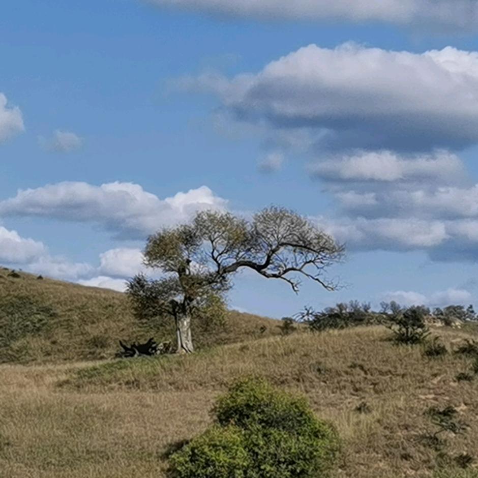 A☀️太阳当空照