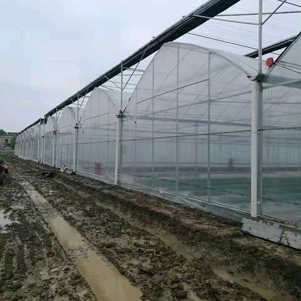 鹰潭顶农温室大棚