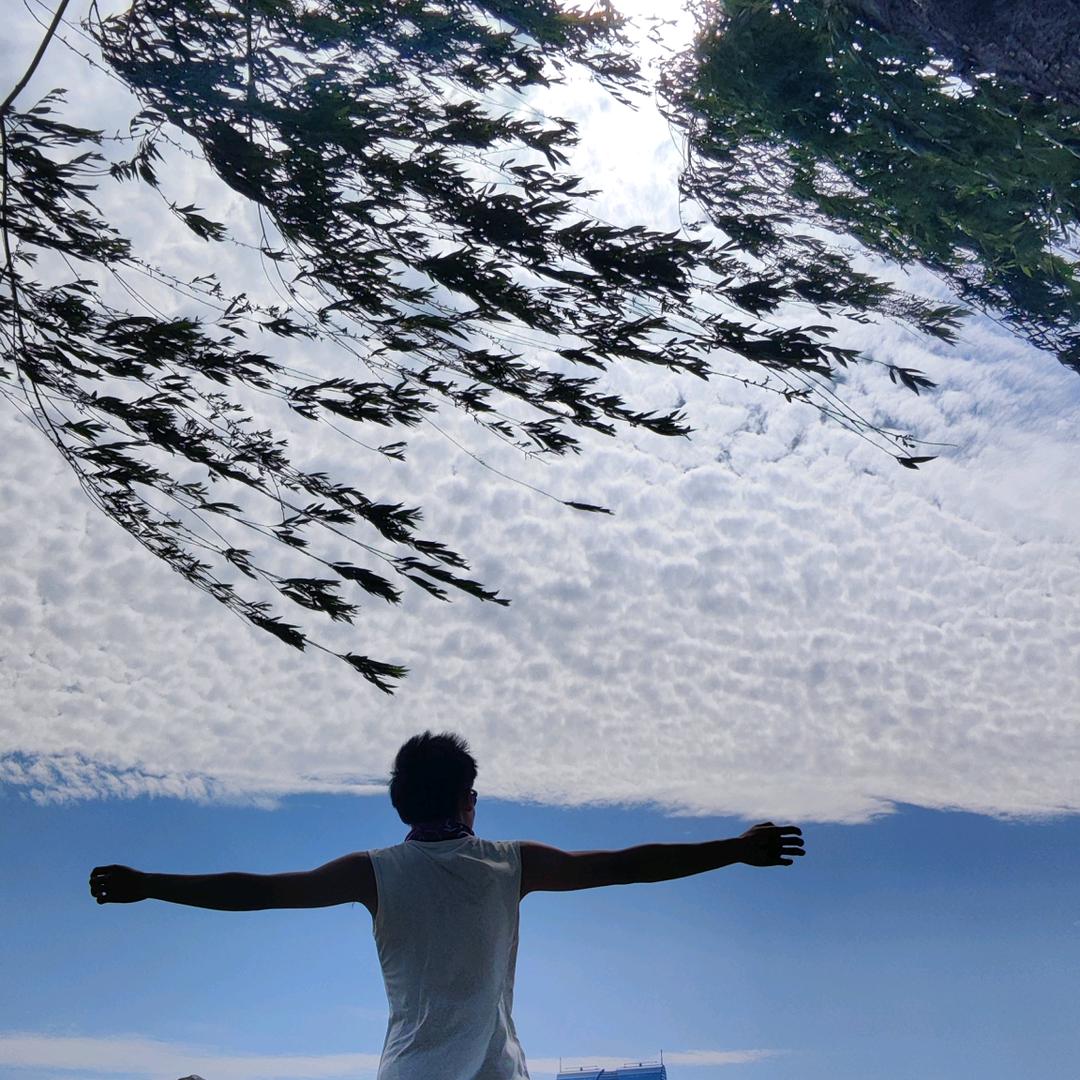 跑赢乌龟的兔子