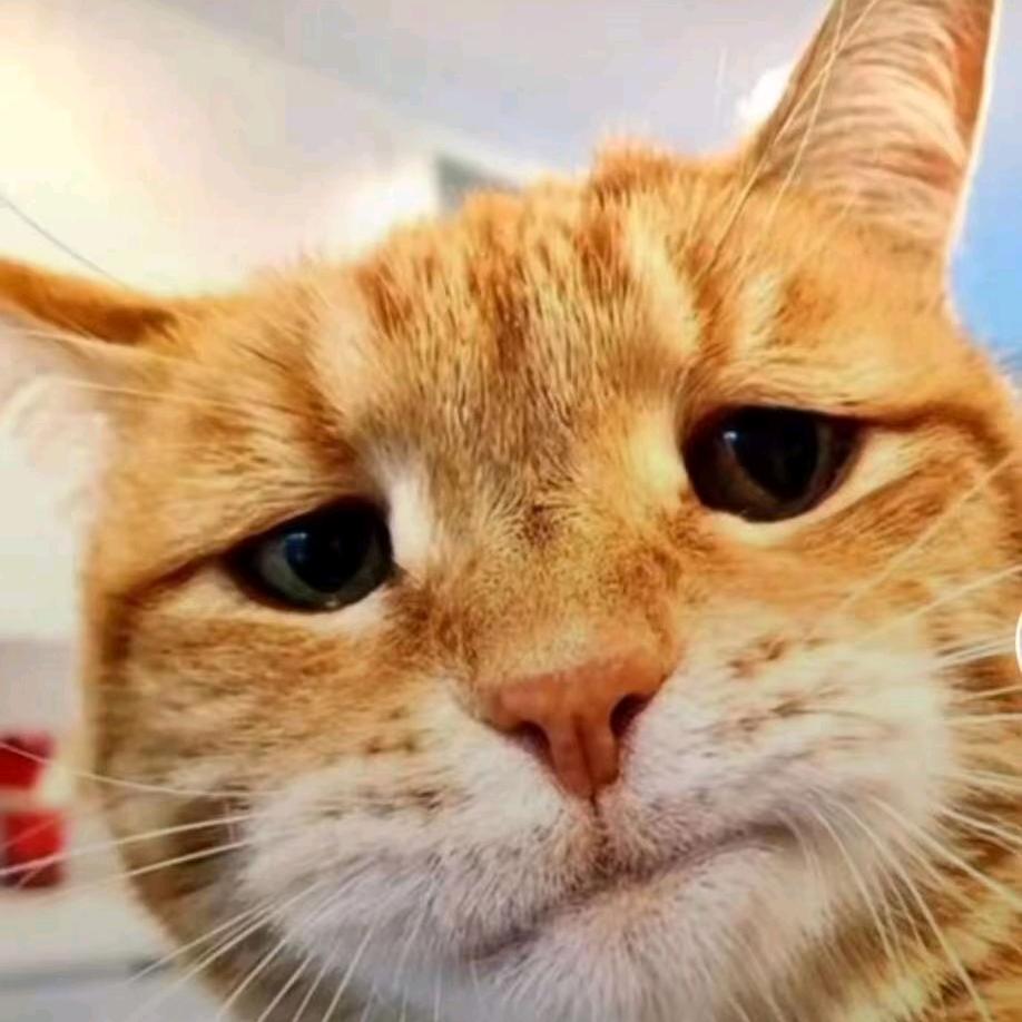 🌈“威力哥🌴（承蒙厚爱）