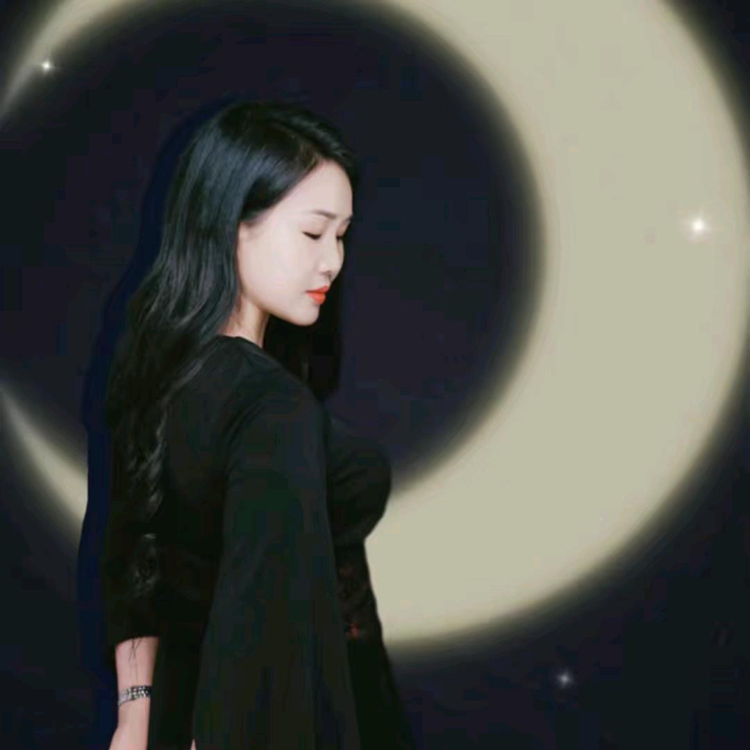 自由飞翔《鸿209》