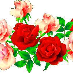 相遇是缘🌹🌹🌹
