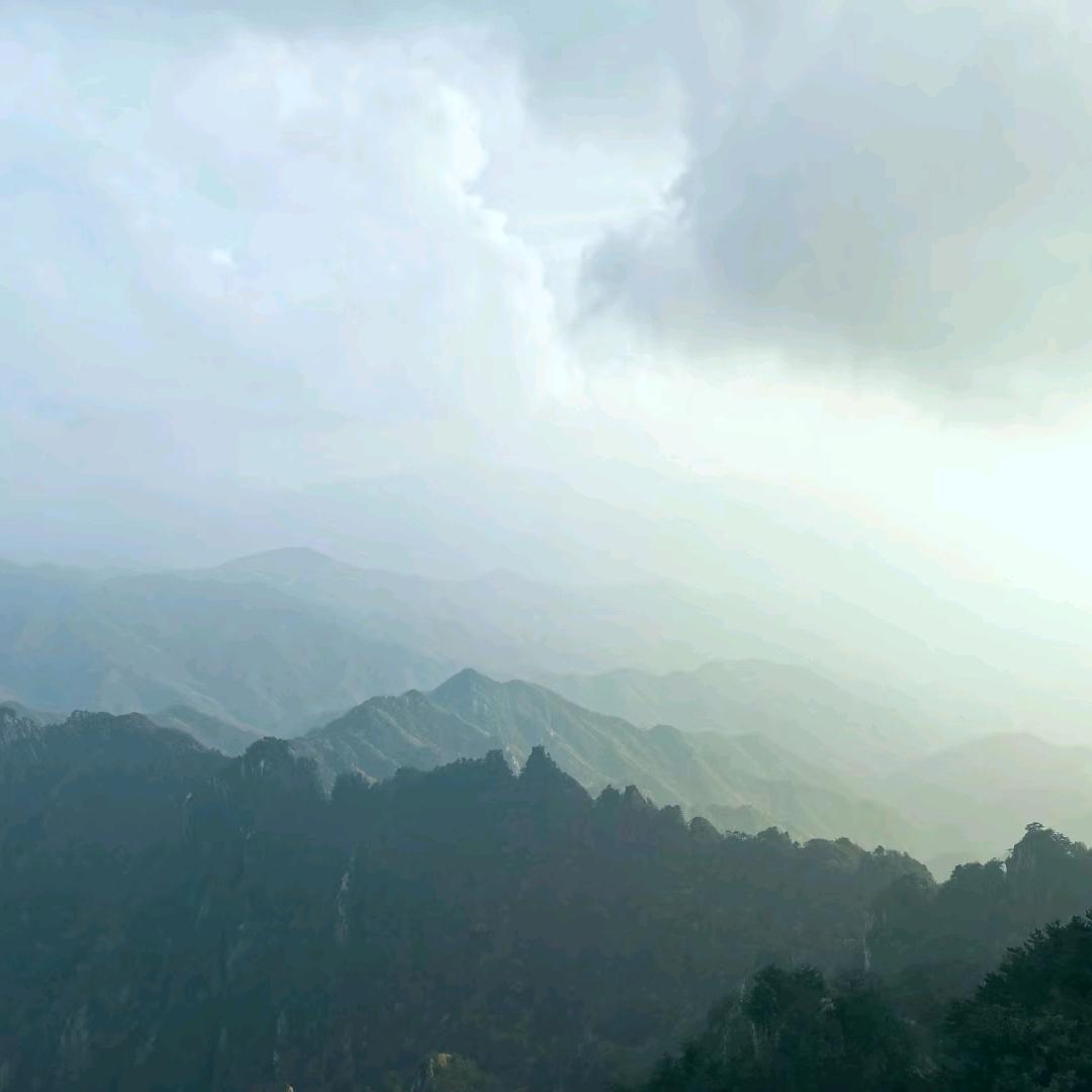 王