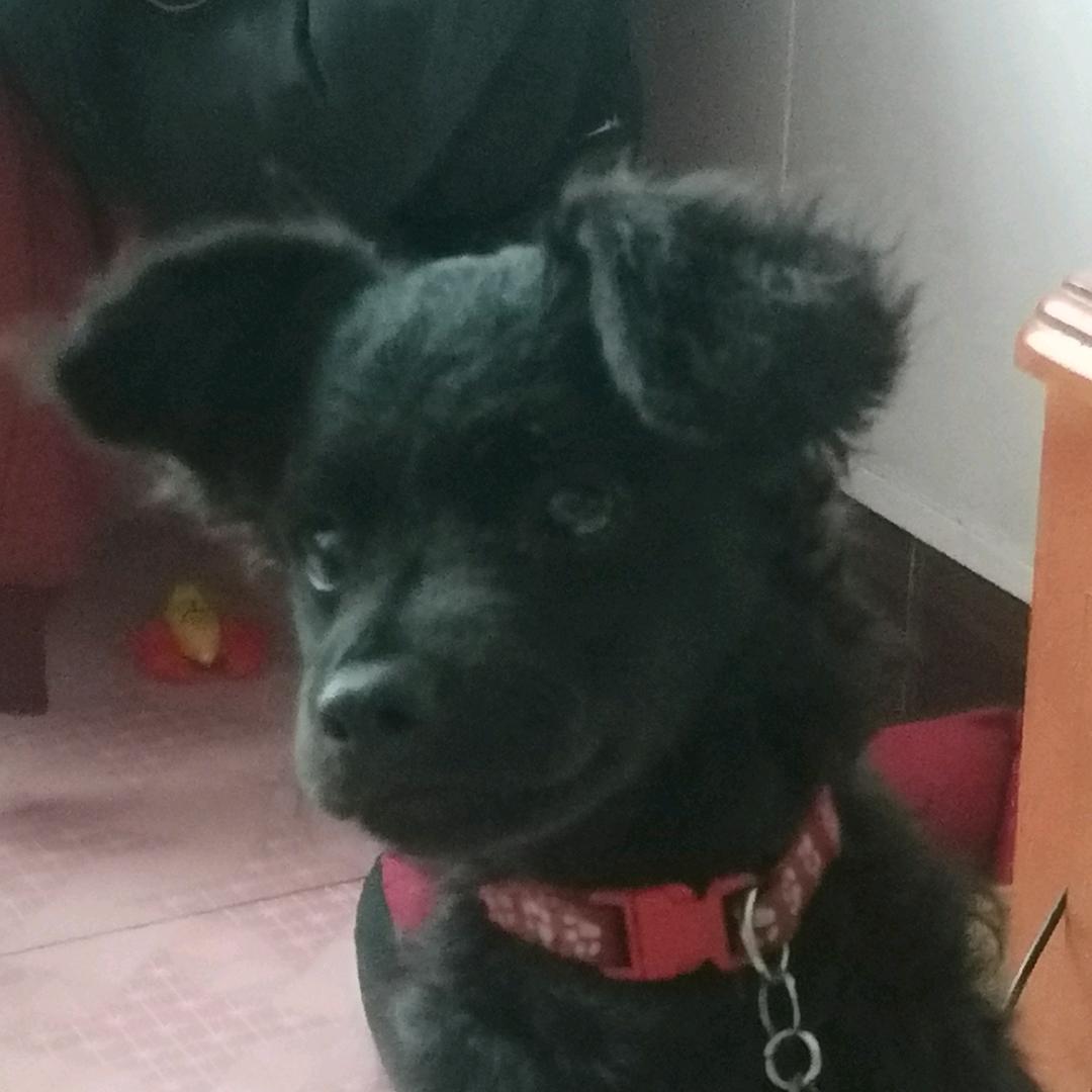 徐虹
